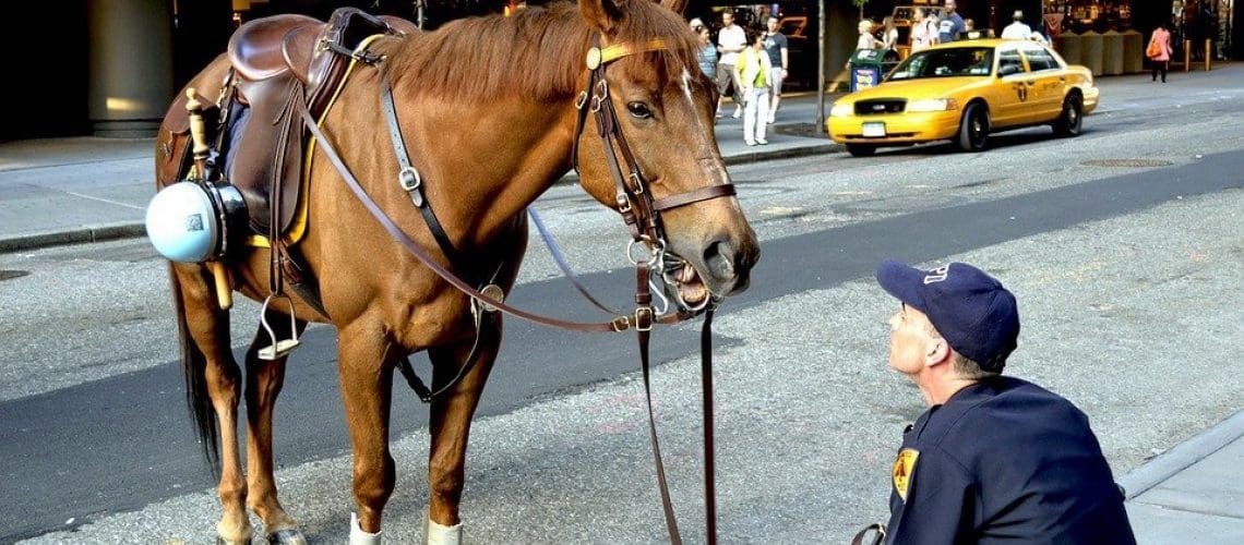 cheval_police